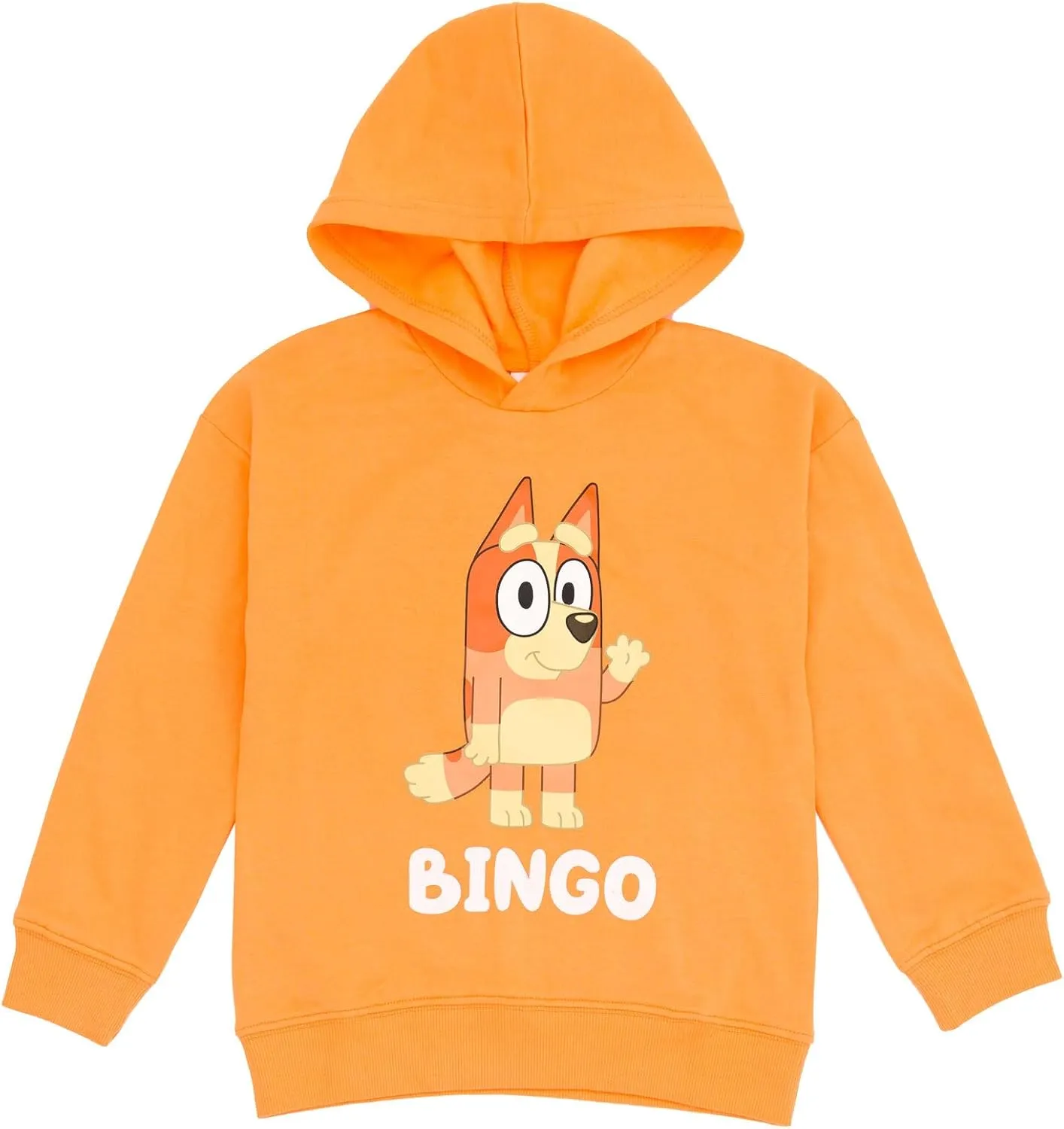 Bluey Fleece Pullover Hoodie and Pants Outfit Set Toddler to Little Kid Sizes (2T - 7-8)