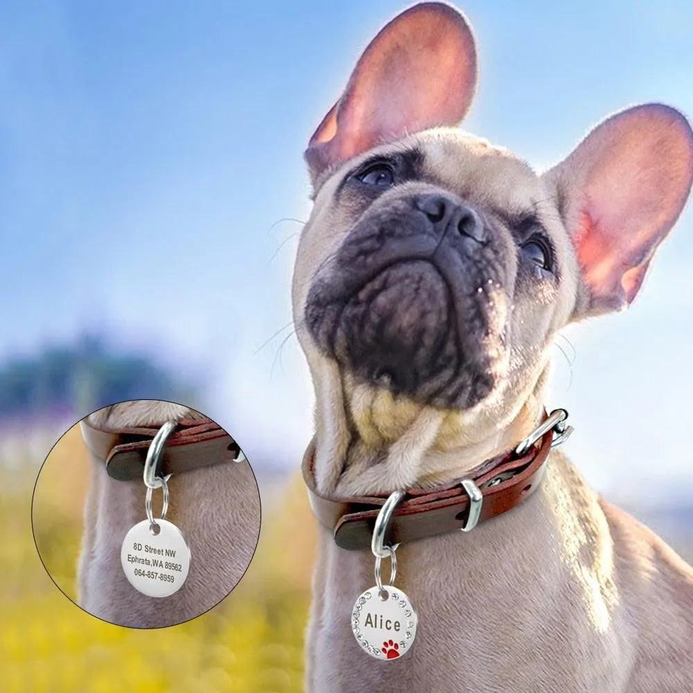 Custom Engraved Stainless Steel Dog Tag