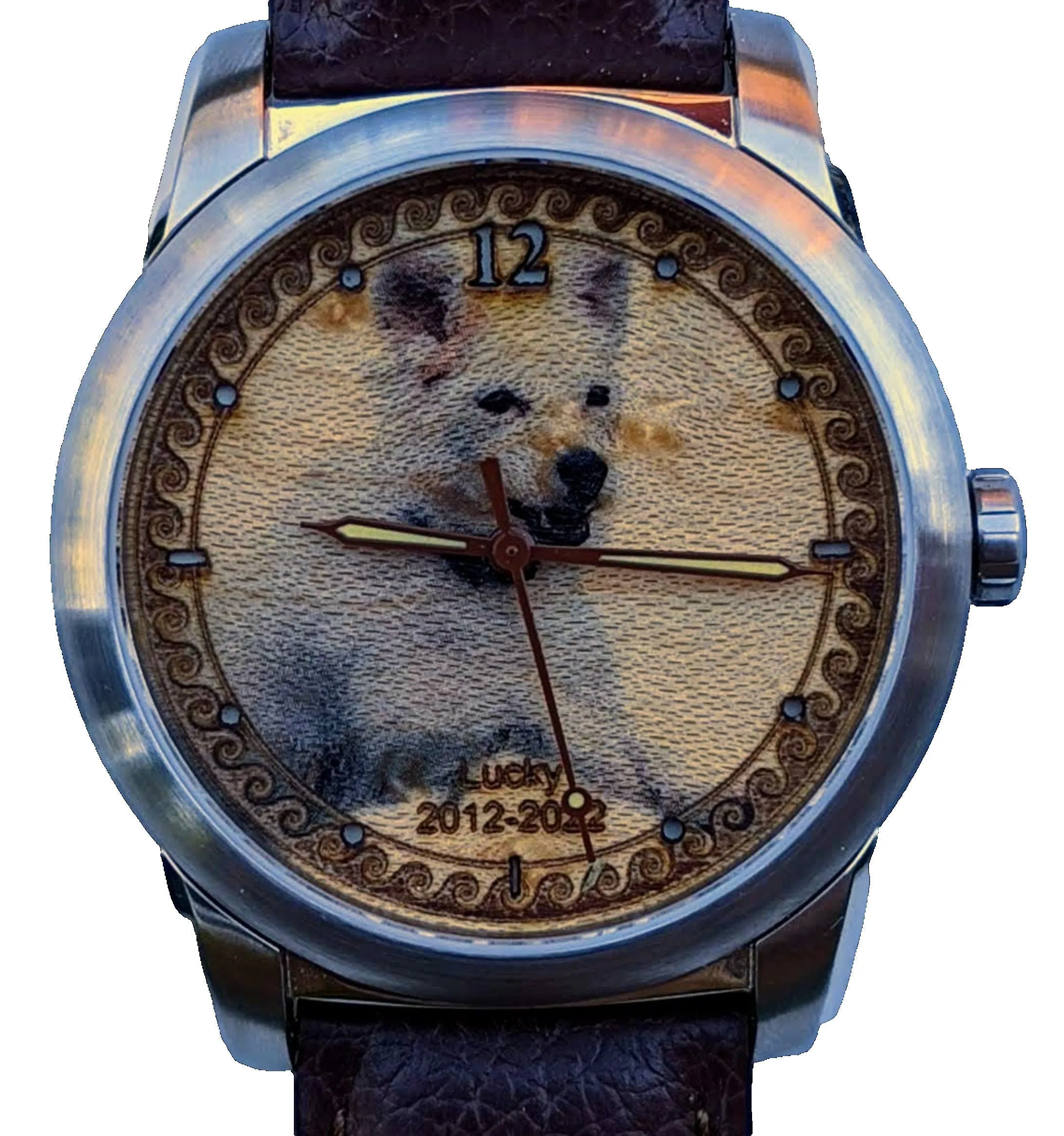 Pet Loss Sympathy Gift Cremation Ash Watch