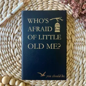Who's Afraid of me Taylor Swift Journal